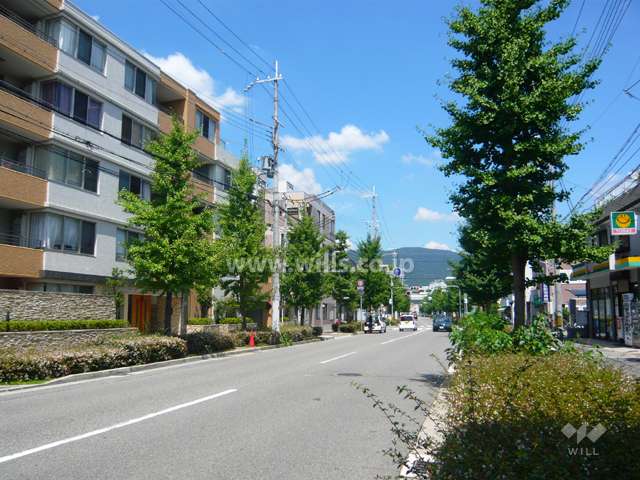 周辺は街路樹のきれいな道です