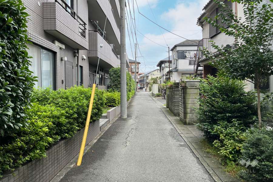 敷地東側の前面道路（南側から）