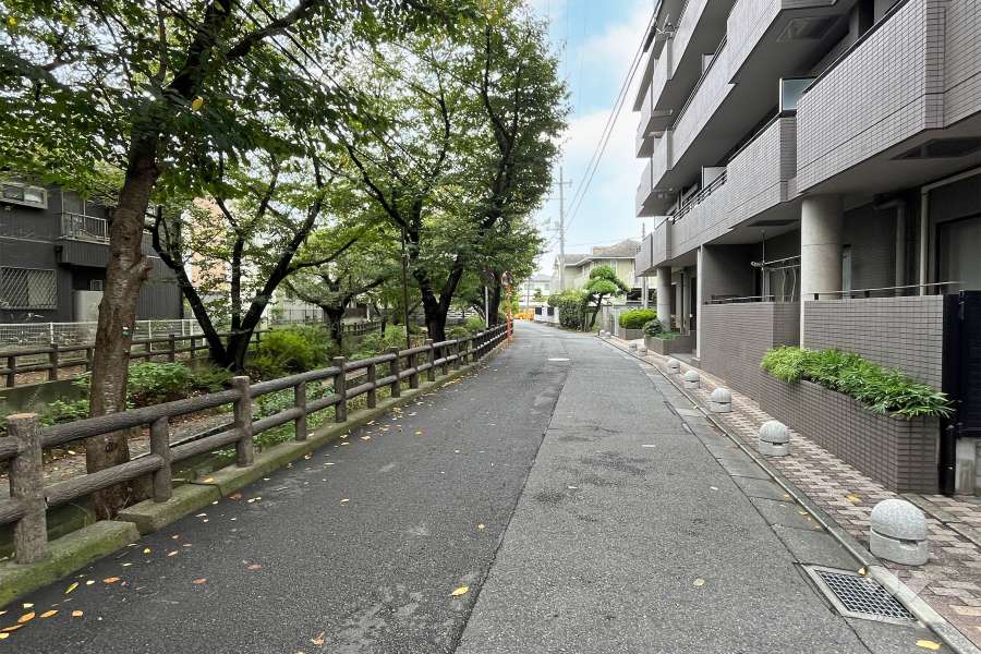 敷地南側の前面道路（東側から）