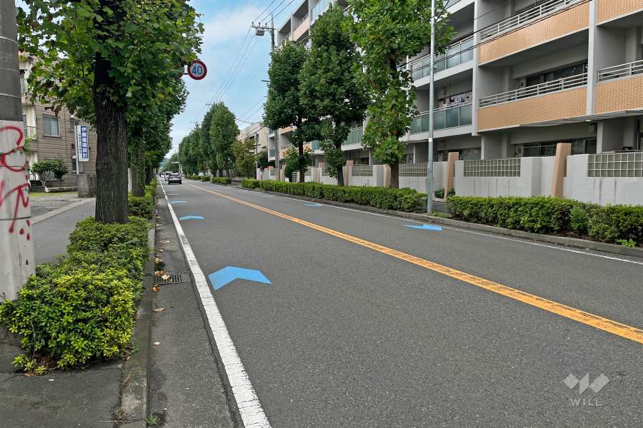 敷地南側の前面道路（東側から）