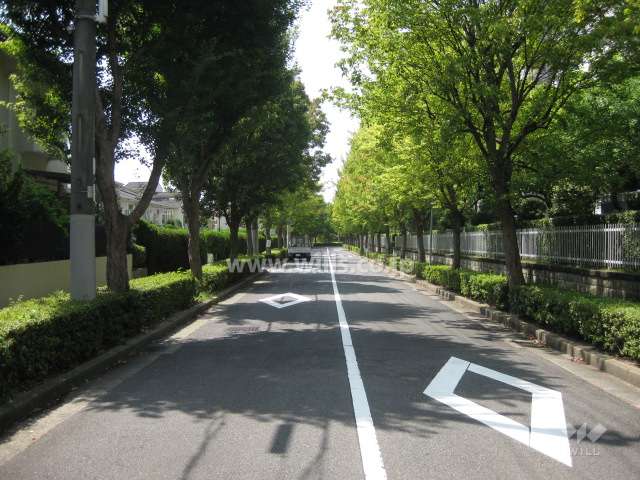 敷地南側の道路