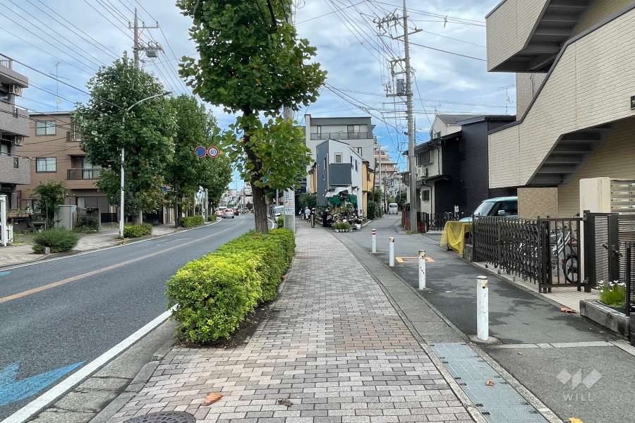 敷地北側の前面道路（西側から）