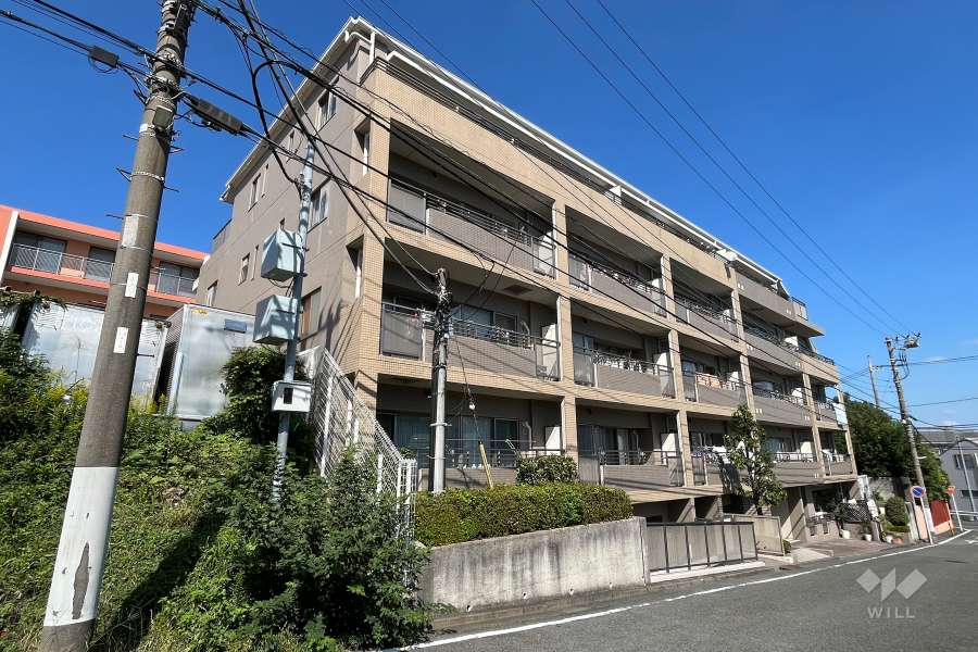 生田ガーデンハウスの外観（南西側から）