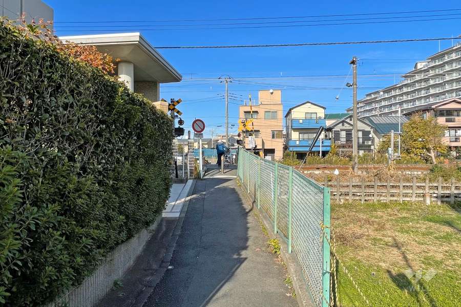 敷地東側の前面道路（南側から）