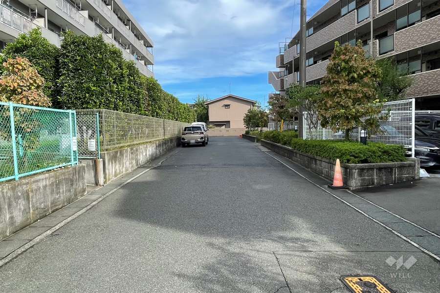 敷地南側の前面道路（西側から）