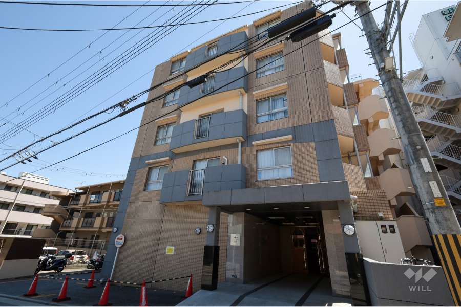 ネバーランド宝塚小林の外観（西側から）