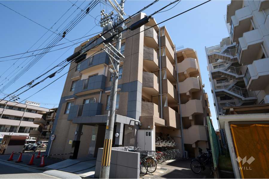 ネバーランド宝塚小林の外観（西側から）