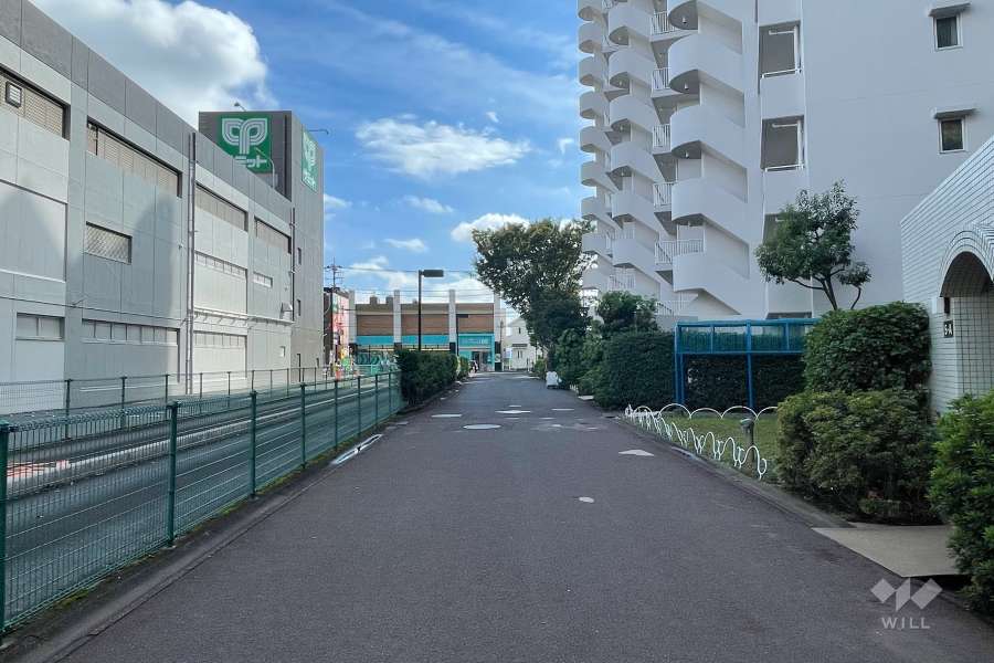 敷地北側の前面道路（西側から）