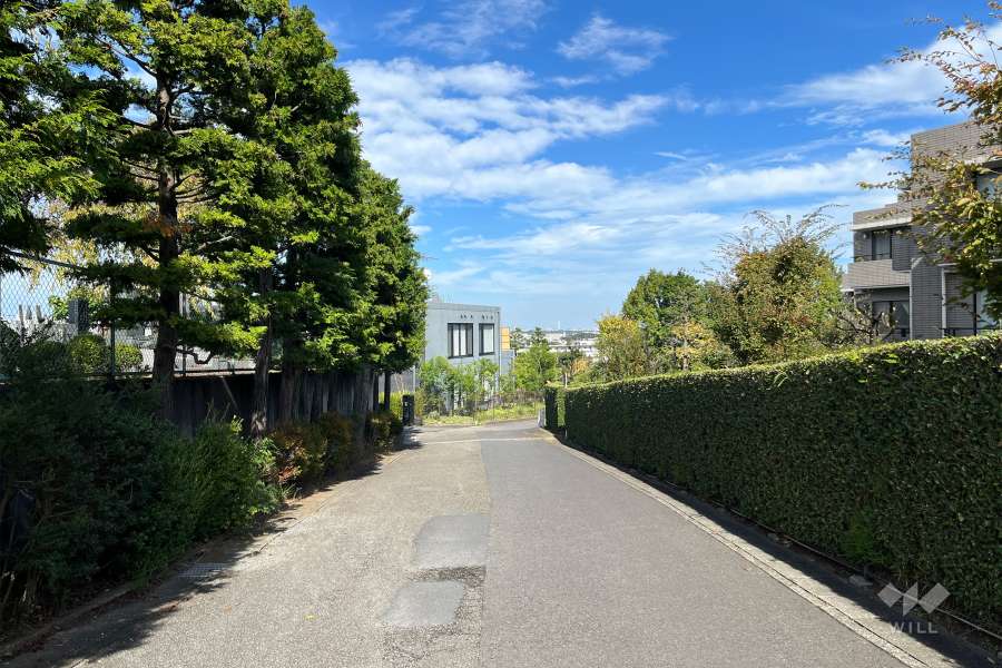 敷地の西側前面道路（南側から）