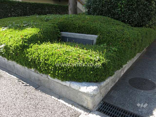 敷地入口のプレートと植栽スペース