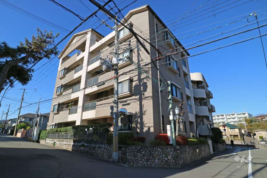 パラツィーナセシリア逆瀬川の外観（東側から）