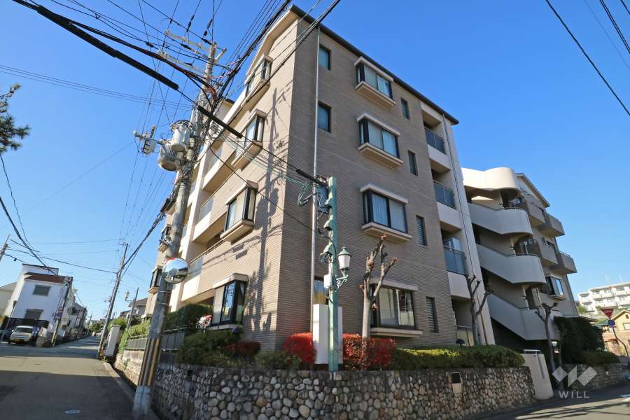 パラツィーナセシリア逆瀬川の外観（北東側から）