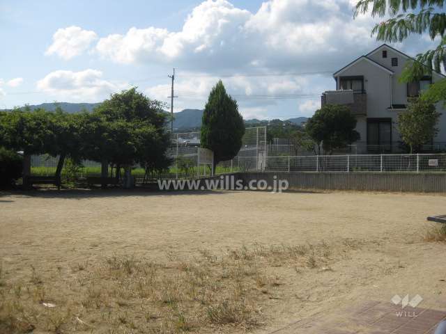 マンション西側の広場
