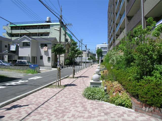 敷地南側の道路
