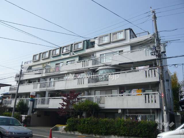 ロックスの外観（南東側から）