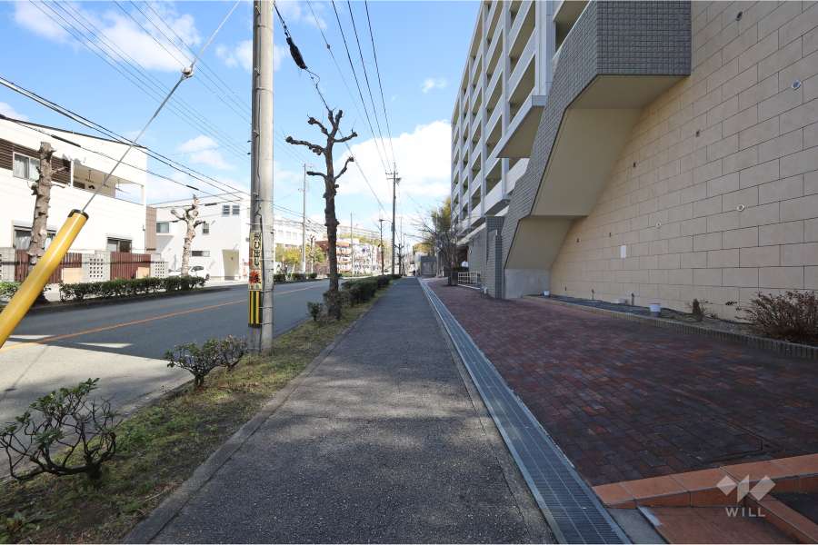 敷地北側の前面道路
