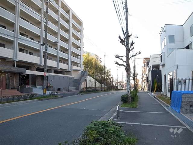 敷地北側の前面道路。街路樹のきれいな通りです。