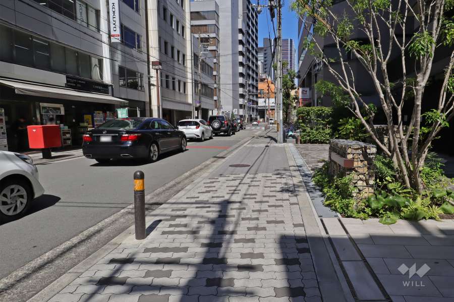 敷地北側の前面道路（西側から）