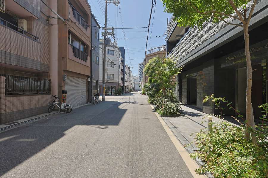 敷地東側の前面道路　