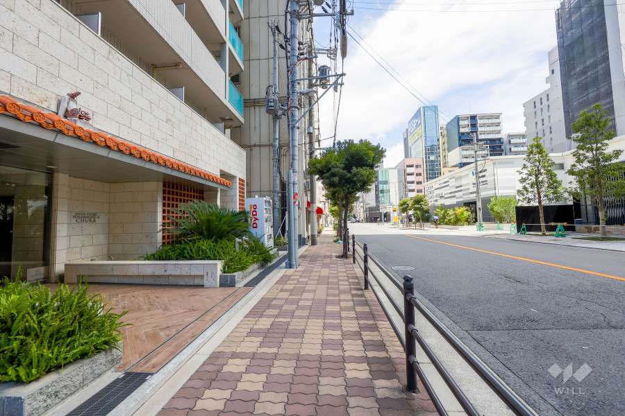 敷地の南側前面道路（西側から）