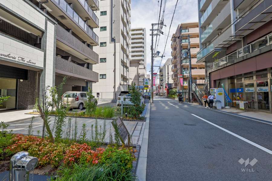 敷地南側の前面道路（西側から）