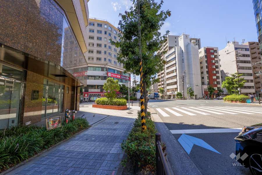 敷地西側の前面道路（北側から）