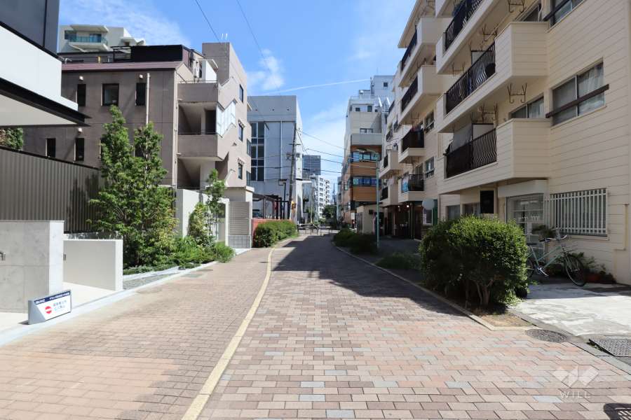 敷地西側の歩道（南側から）