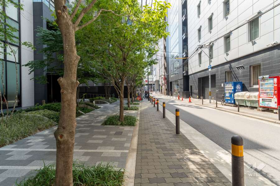敷地北側の前面道路　　