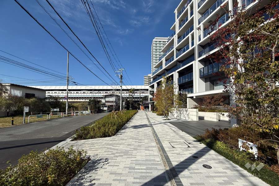 敷地の南西側前面道路（南東側から）