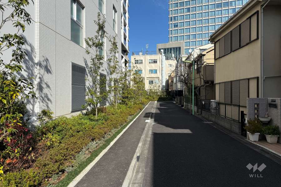 敷地の南東側前面道路（南西側から）２