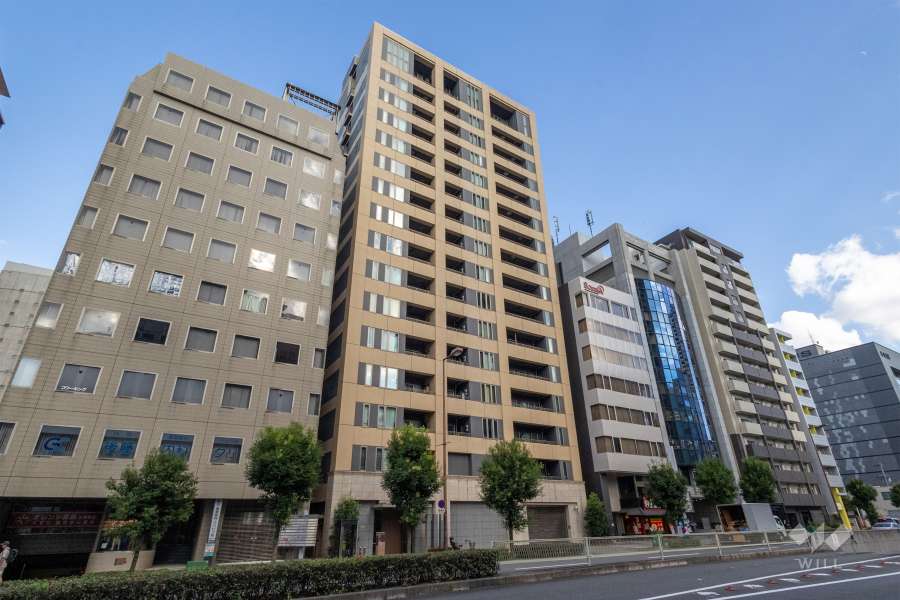 ウェリス大手前の外観（北西側から）
