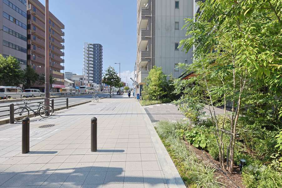 敷地南西側の前面道路　