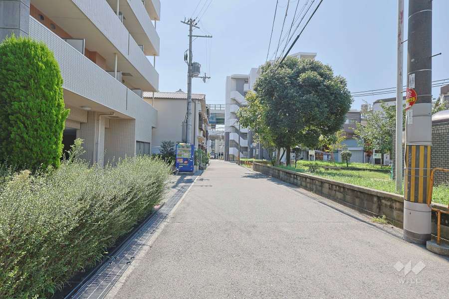 敷地西側の前面道路　