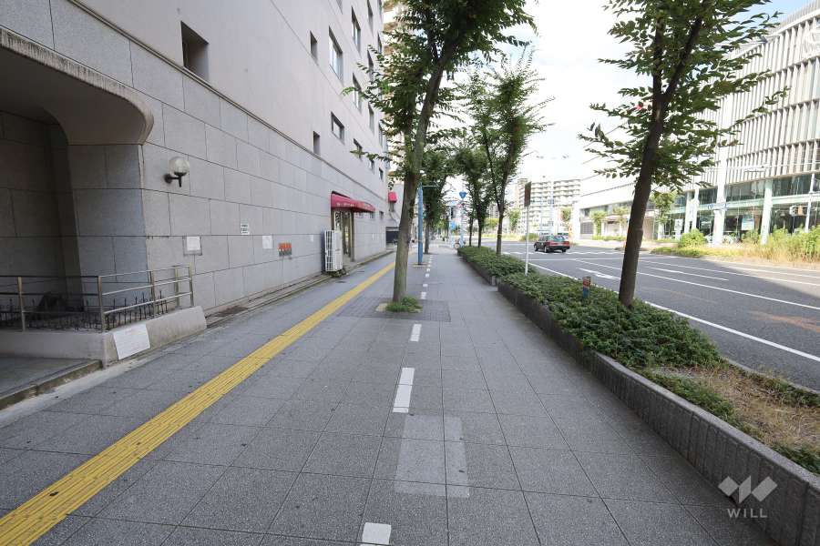 敷地北側の前面道路（東側から）