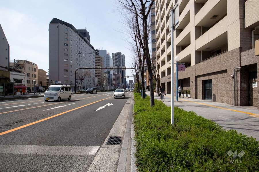 敷地南東側の前面道路（北東側から）
