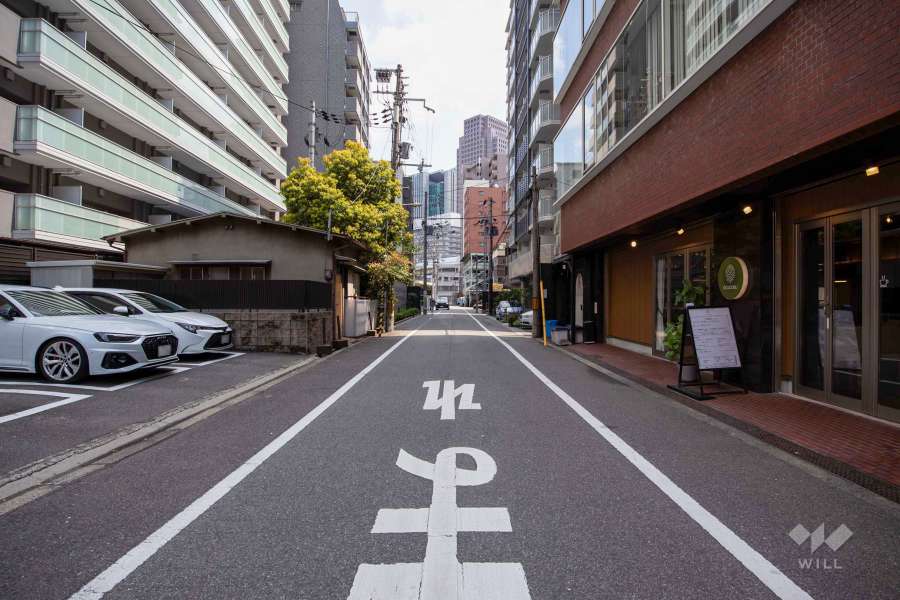 敷地南側の前面道路（西側から）