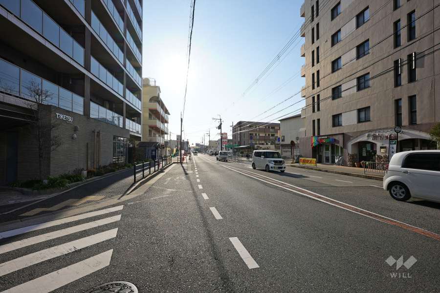 敷地南東側の前面道路（北側から）