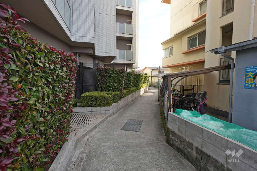 敷地南側の前面道路（西側から）