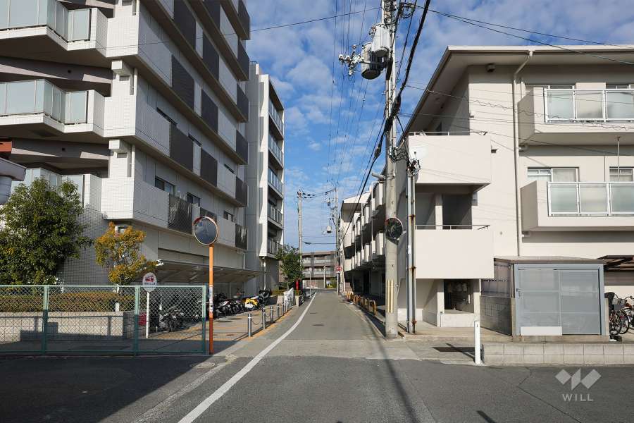 敷地西側の前面道路（南側から）