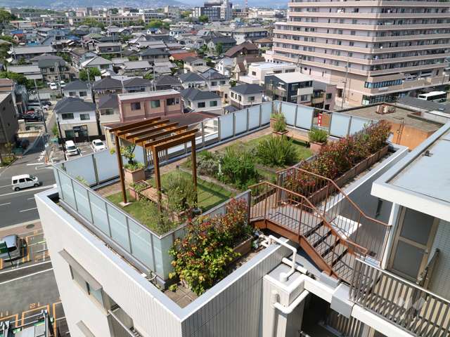 実のなる木を育てる自然学習の場、屋上果樹園『マナビノニワ』