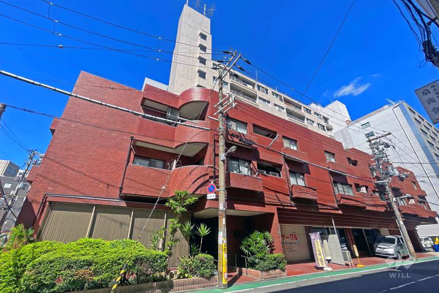 中之島ロイヤルハイツの外観(南東側から)