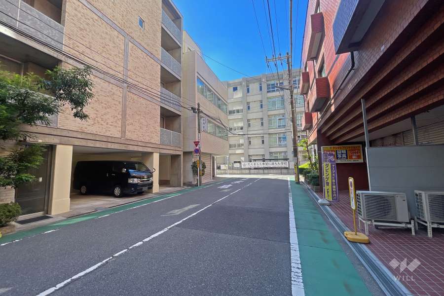 敷地南側の前面道路（北側から）