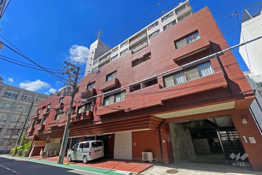 中之島ロイヤルハイツの外観(北東側から)