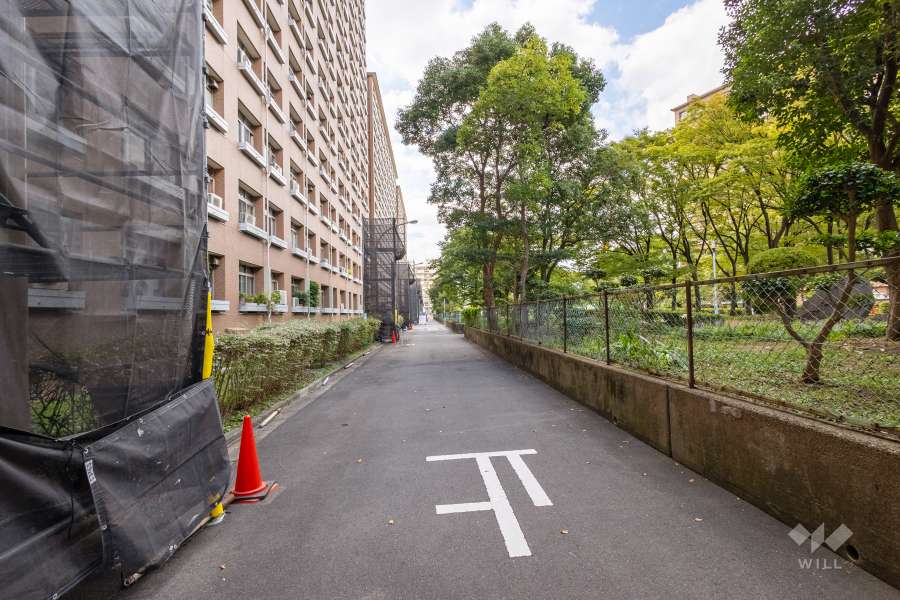 敷地の北側前面道路（東側から）