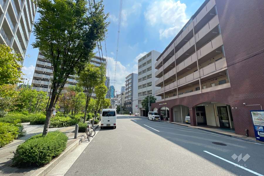 敷地南側の前面道路