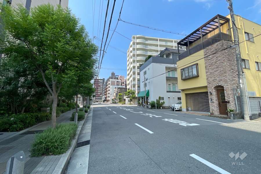 敷地北側の前面道路