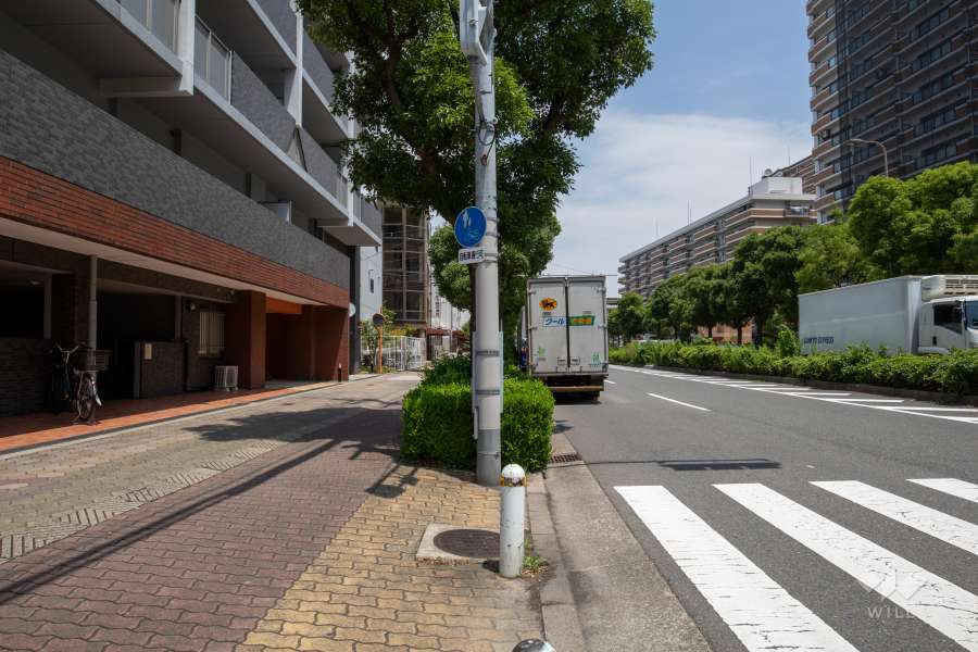 敷地東側の前面道路（南側から）