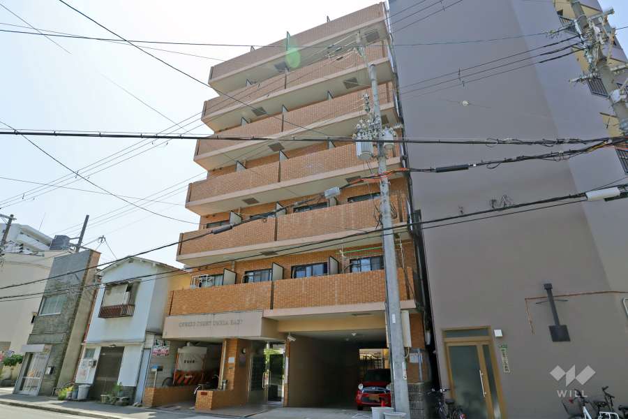 セレッソコート梅田東の外観（北側から）