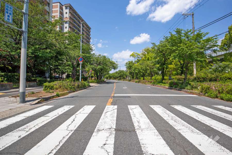 敷地東側の前面道路