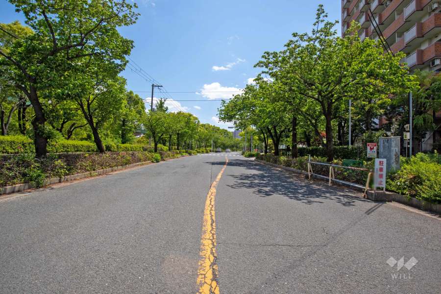 敷地東側の前面道路